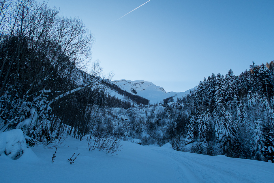 'La photo classique des conis'