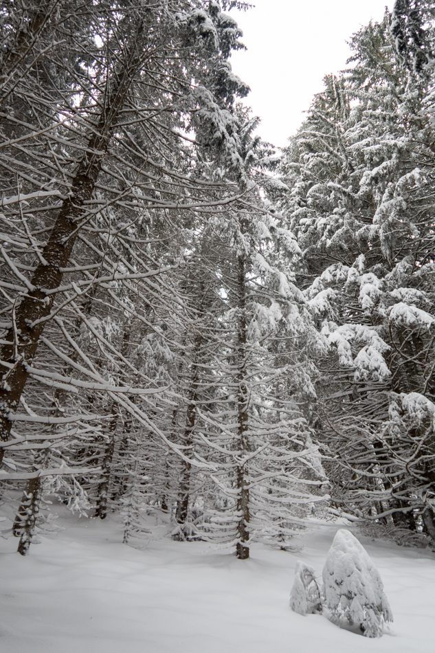'F��rie de janvier.. euh, non, de mars'