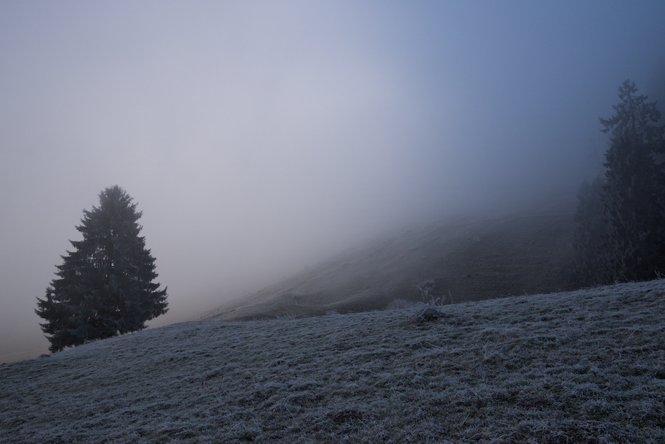 'Mais c\'est pas si mal'