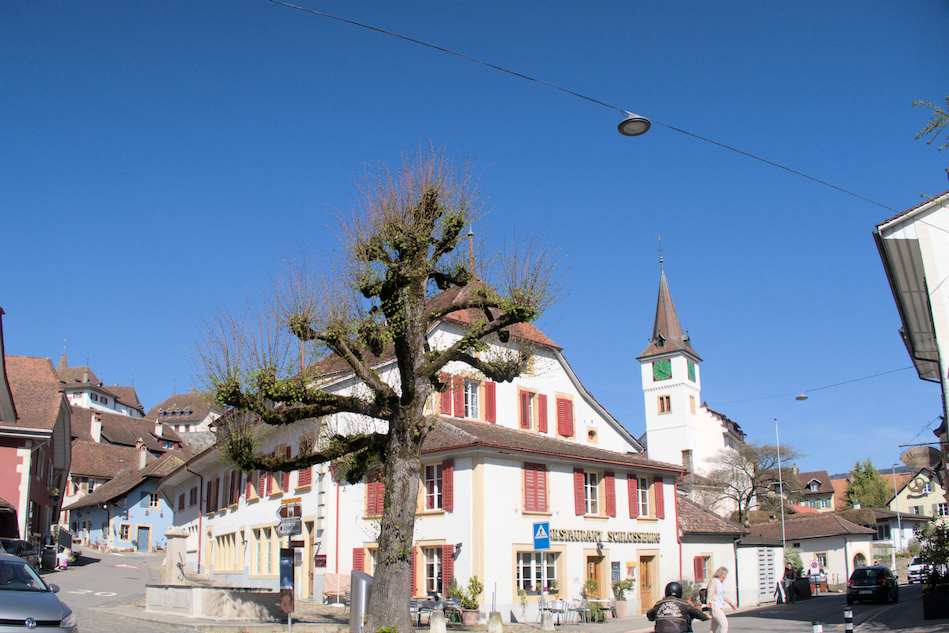 'Erlach'