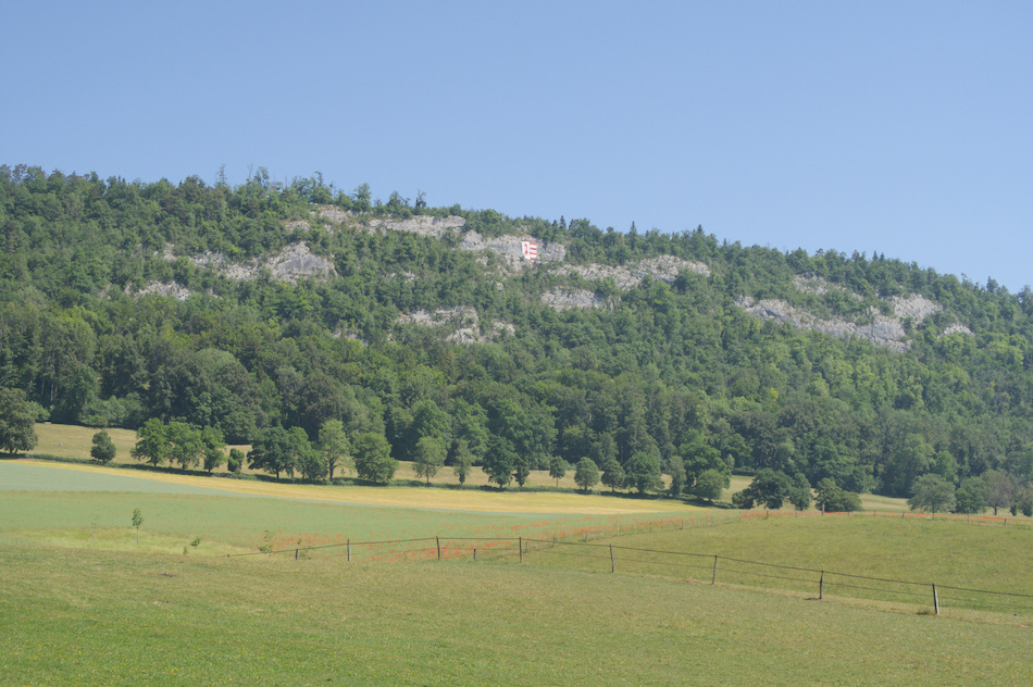 'Retour au pays... Del�mont'